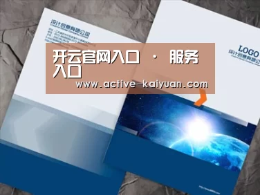 项目名称十