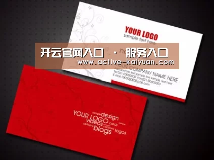 项目名称八