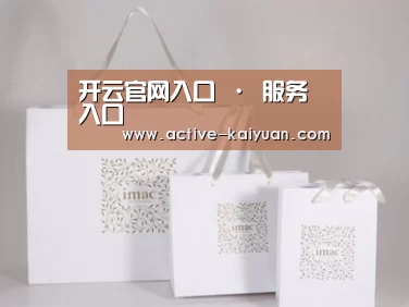 项目名称十一
