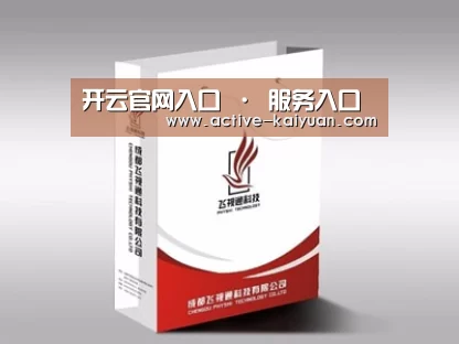 项目名称十三