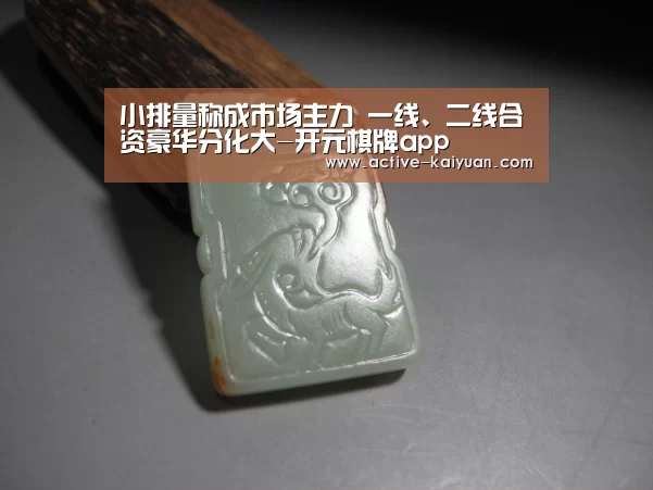 小排量称成市场主力 一线、二线合资豪华分化大-开元棋牌app(图2) 开云首页