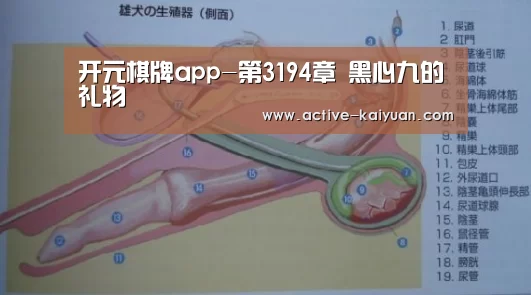 开元棋牌app-第3194章 黑心九的礼物(图2) 开元棋牌电脑版